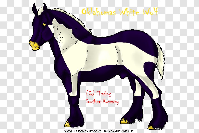 Mule Foal Mustang Stallion Mare - Character Transparent PNG