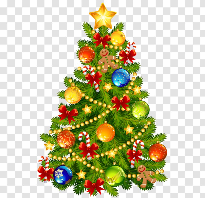 Clip Art Christmas The Decorated Tree - Decoration - Sonia Gandhi Transparent PNG