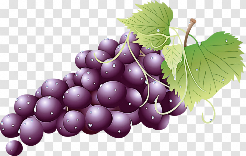 Grape Grape Leaves Natural Foods Seedless Fruit Fruit Transparent PNG
