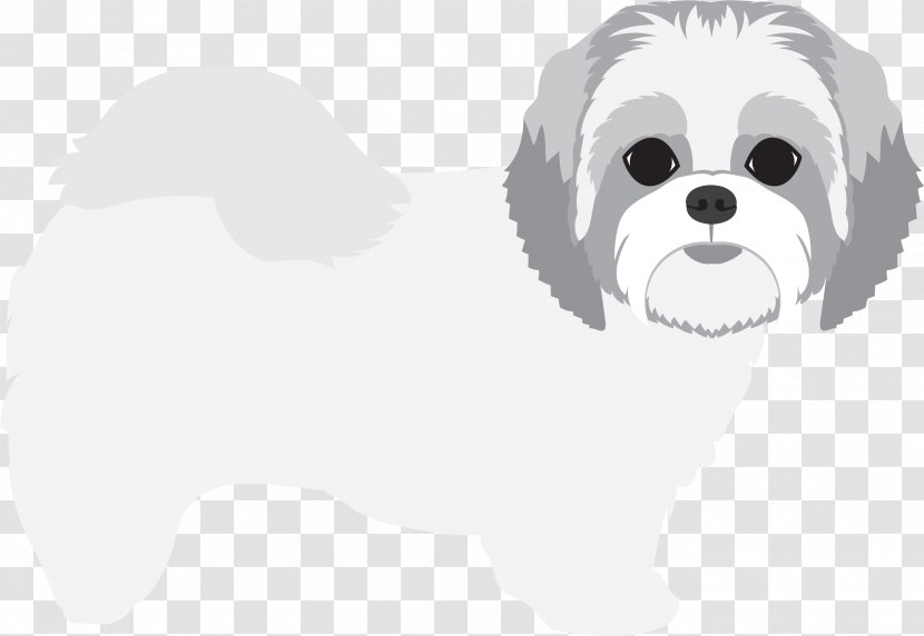 Dog Breed Maltese Shih Tzu Companion - Snout Transparent PNG
