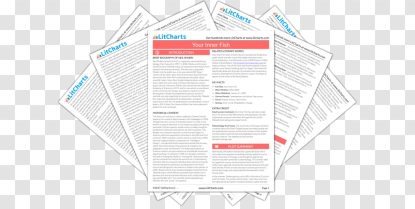 Macbeth Act SparkNotes Litcharts LLC Hamlet - Charles Darwin Animals He Studied Transparent PNG