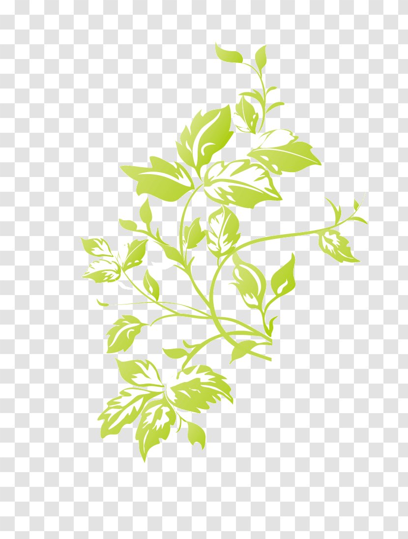 Herbaceous Plant Plants Design Green - Stem - Foliage Transparent PNG