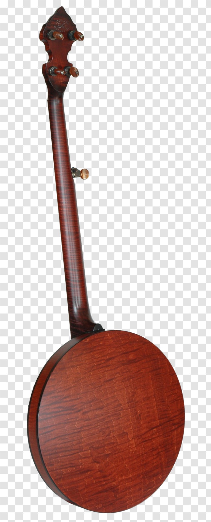 Banjo Tanbur Musical Instruments String - Cartoon Transparent PNG