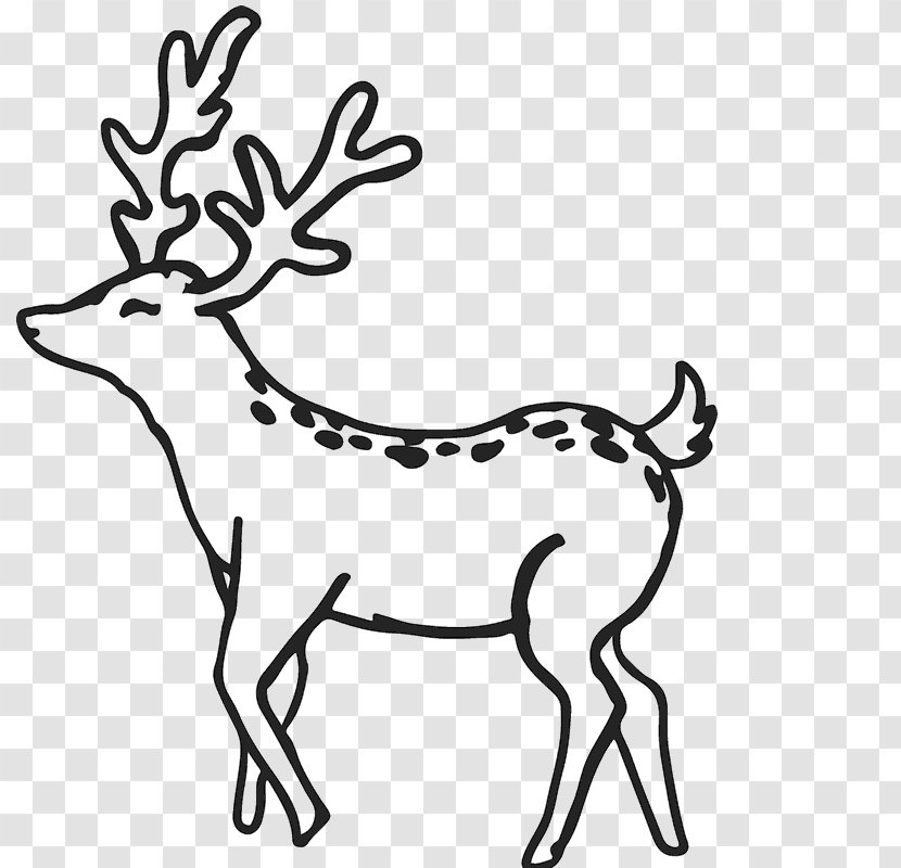 Reindeer Antler White-tailed Deer Clip Art - Animal Figure Transparent PNG