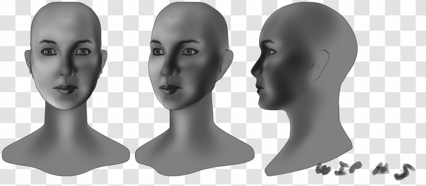 Polycount Nose Sketchbook Mannequin - Jaw - Freeform Surface Modelling Transparent PNG