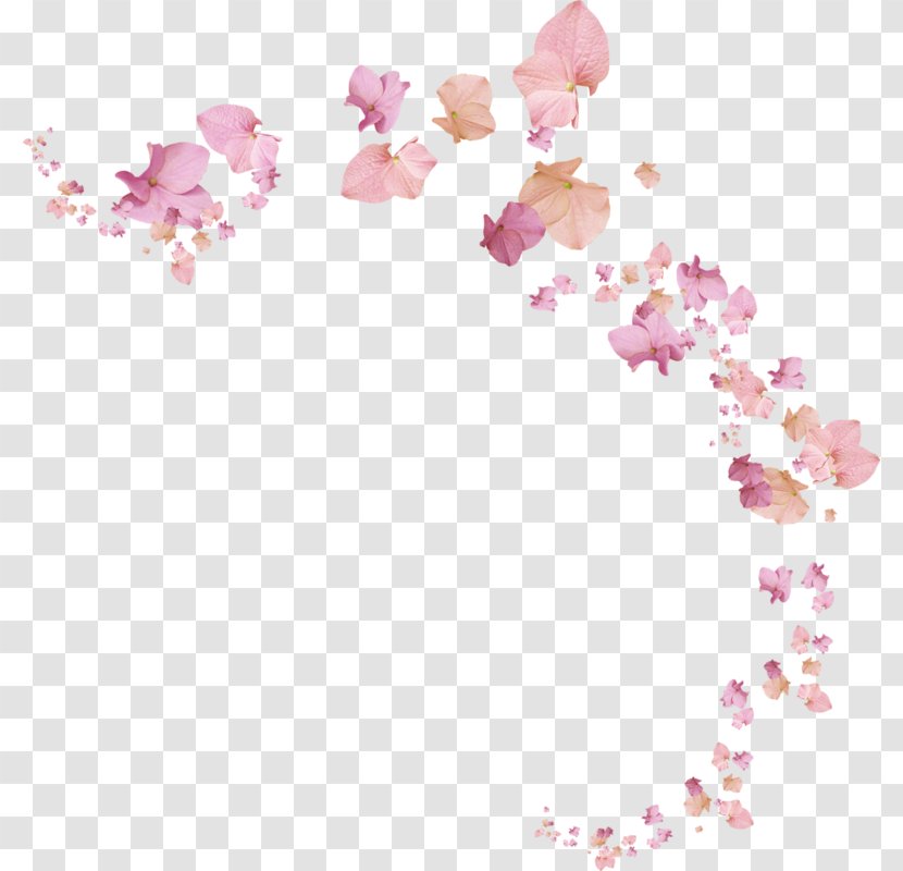Clip Art Adobe Photoshop Image Flower - Lilac - The Petals Transparent PNG