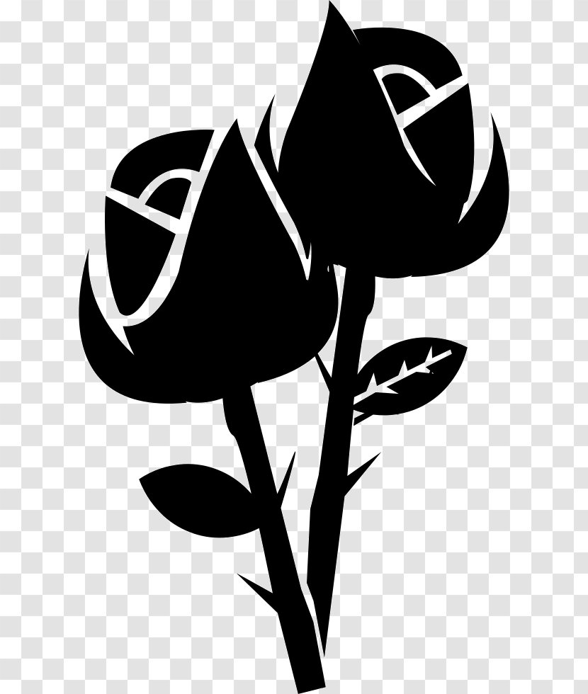 Black Rose Floribunda Hybrid Tea - Flower Transparent PNG