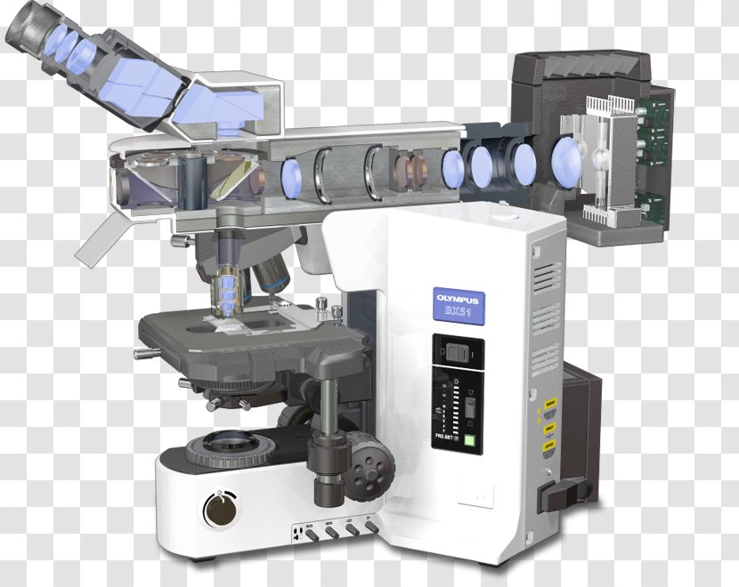Fluorescence Microscope Principles Of Spectroscopy Confocal Microscopy - Stage Light Transparent PNG