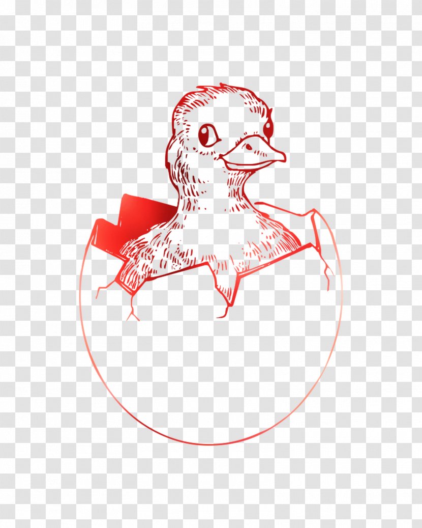 Swans Goose Bird Illustration Ducks - Wing Transparent PNG