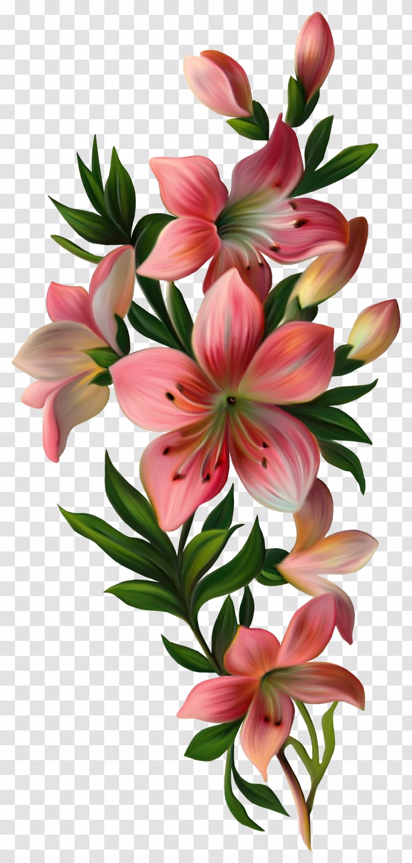 Flower Vintage Clothing Clip Art - Floristry - Lily Transparent PNG