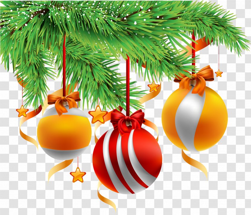 Christmas Decoration Gold Orange - Fir - Fruit Transparent PNG