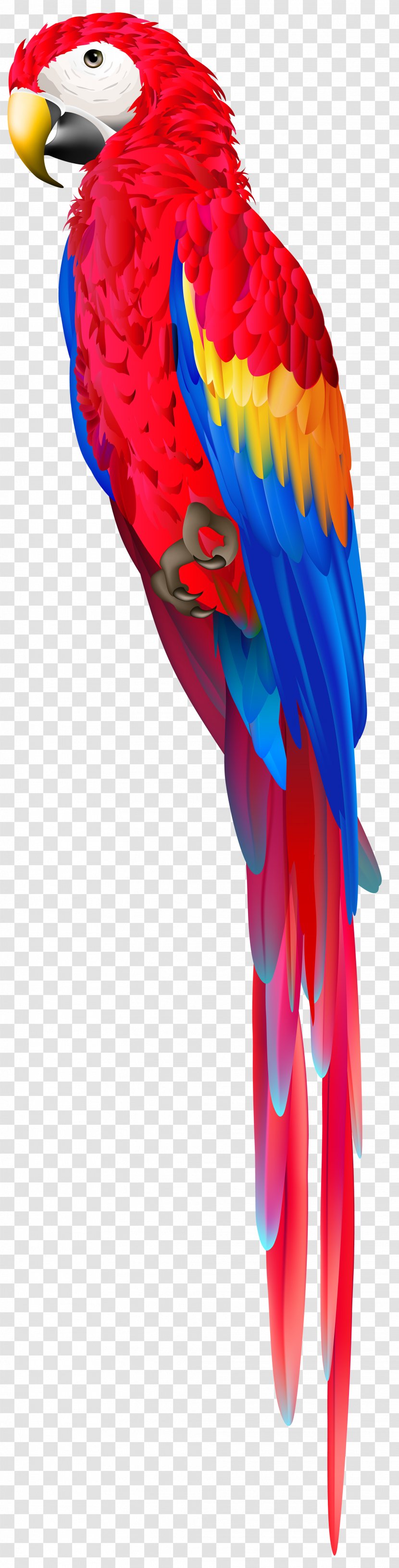 Macaw Parrot Clip Art Bird - Fictional Character Transparent PNG