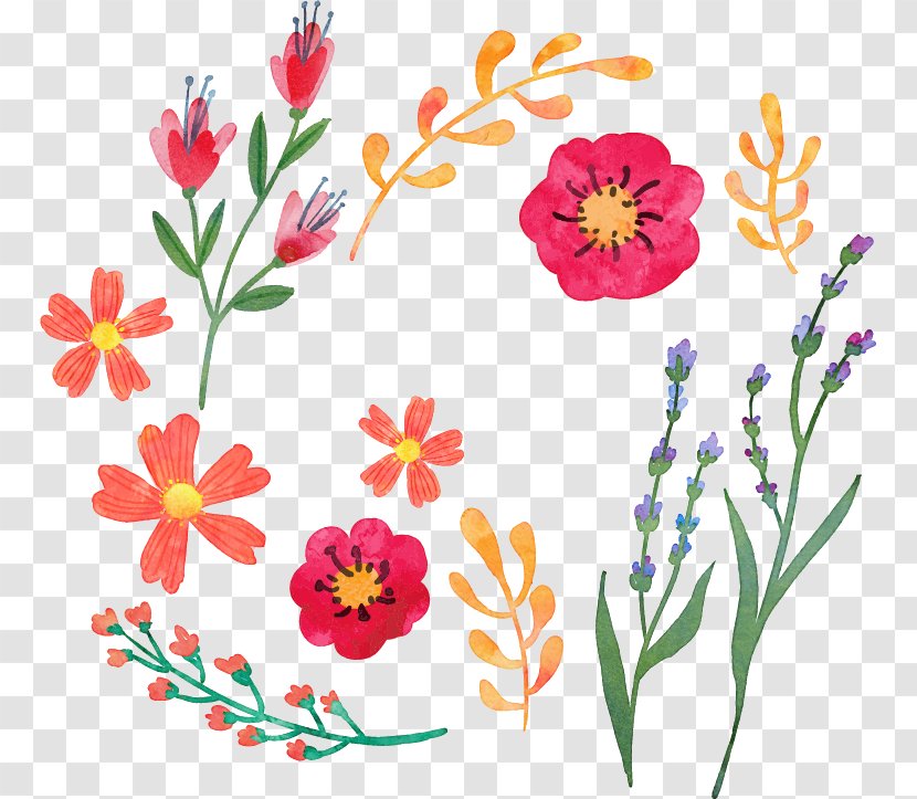 Watercolor Painting Euclidean Vector Download - Flower Bouquet - Wheat Lavender Material Transparent PNG