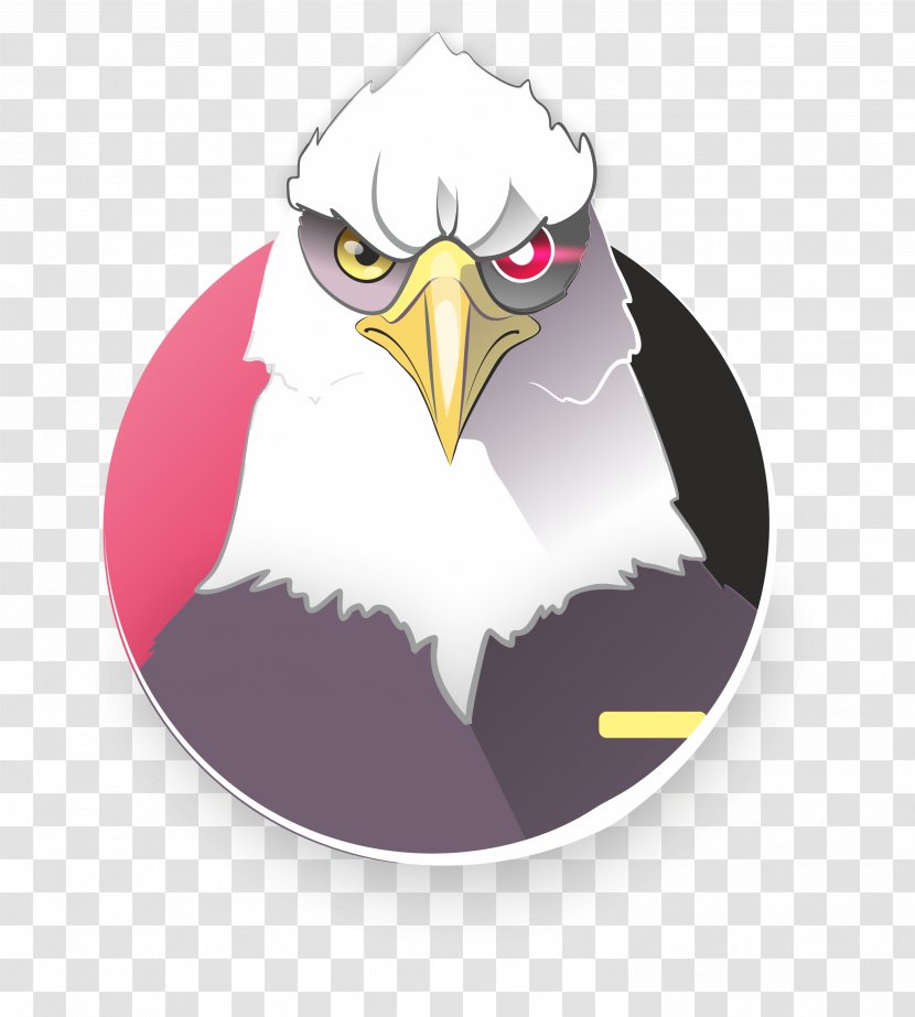 Bald Eagle Beak Transparent PNG