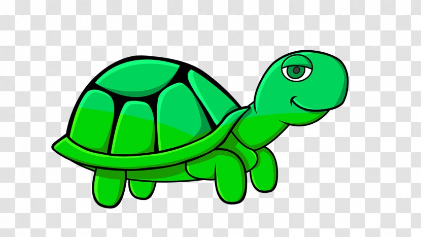 Sea Turtle Tortoise Clip Art Product Design - Plant - Alliance Sign Transparent PNG