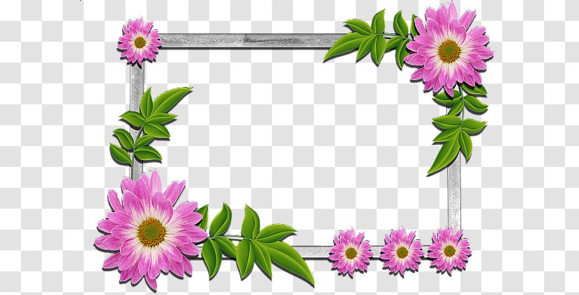 Clip Art Borders And Frames Flower Picture Floral Design - Cut Flowers - Nua Border Transparent PNG