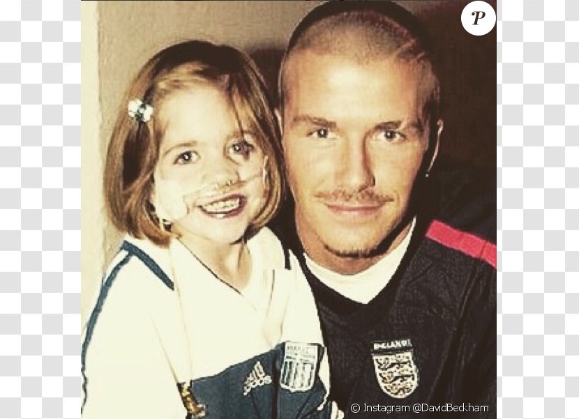 Kirsty Howard David Beckham Wythenshawe England National Football Team Manchester - Silhouette - Tree Transparent PNG