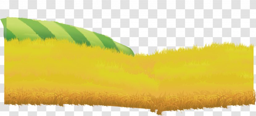 Adobe Illustrator ArtWorks - Yellow - Field Vector Farming Transparent PNG