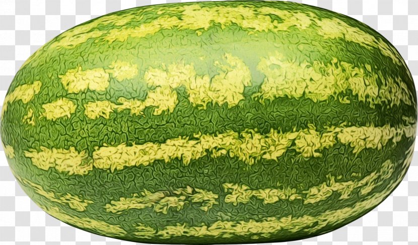 Watermelon Background - Seed Oil - Cucurbita Vegetable Transparent PNG