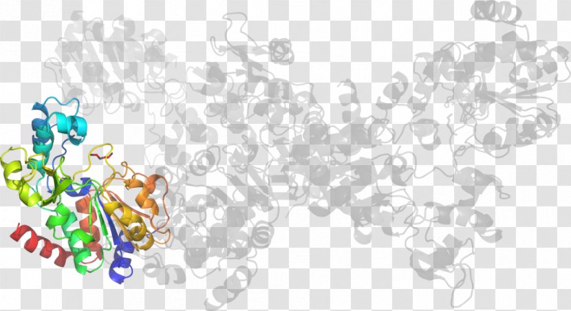 Illustration Clip Art Desktop Wallpaper Flower Computer - Text - Body Jewellery Transparent PNG