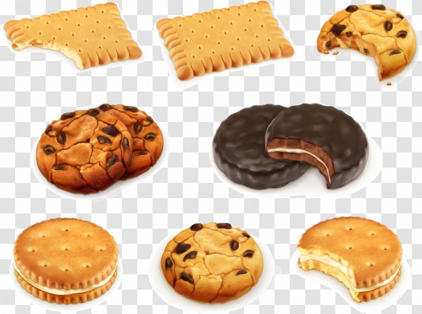 Chocolate Chip Cookie Biscuit Royalty-free - Snack - Vector Cookies Transparent PNG