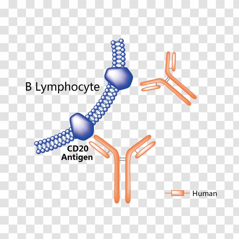 Obinutuzumab Pharmaceutical Drug Trastuzumab Emtansine Adalimumab Vemurafenib - Cartoon - Cutaneous T Cell Lymphoma Transparent PNG