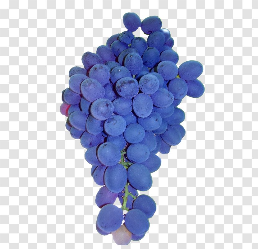 Common Grape Vine Fruit Auglis - Liveinternet - Purple Grapes Transparent PNG