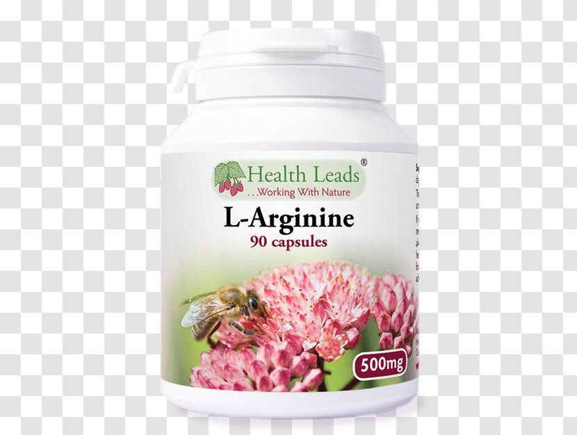 Dietary Supplement Capsule Lysine Acetylcarnitine Amino Acid - Levocarnitine - Health Transparent PNG