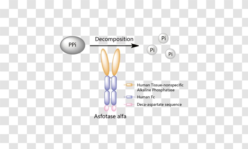 Asfotase Alfa Hypophosphatasia Strensiq Enzyme Replacement Therapy - Watercolor - Tree Transparent PNG