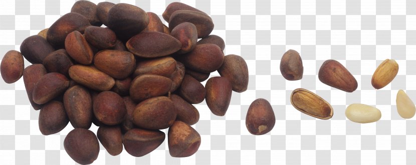 Pine Nut Nuts Hazelnut Honey - English Walnut - Pistachios Transparent PNG