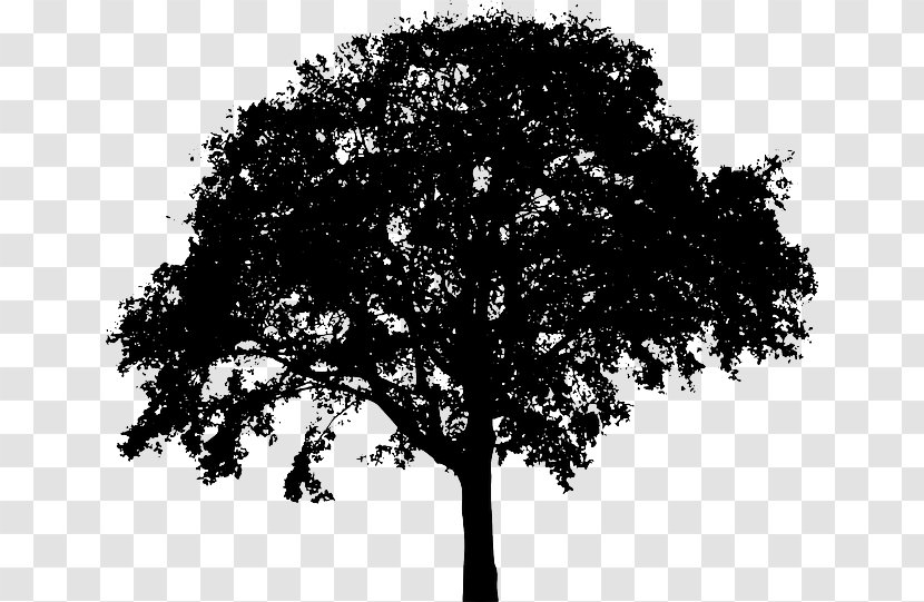 Tree Silhouette Royalty-free Clip Art - Royaltyfree - Iphone玫瑰金 Vector Transparent PNG