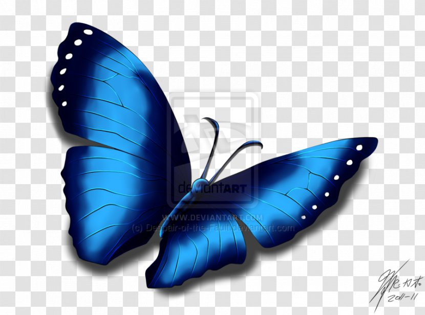 Butterfly Effect Image Adobe Photoshop - Insect Transparent PNG