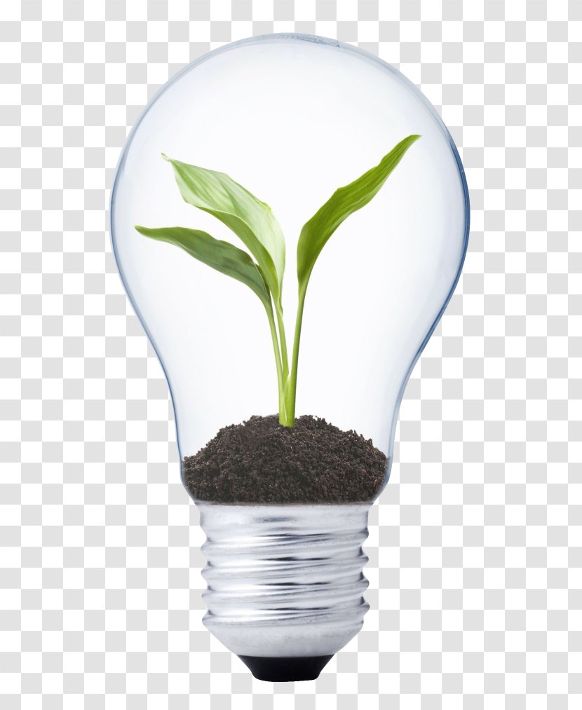 Light-emitting Diode LED Lamp SERE-Tech Innovation Lighting - Energy - Light Transparent PNG