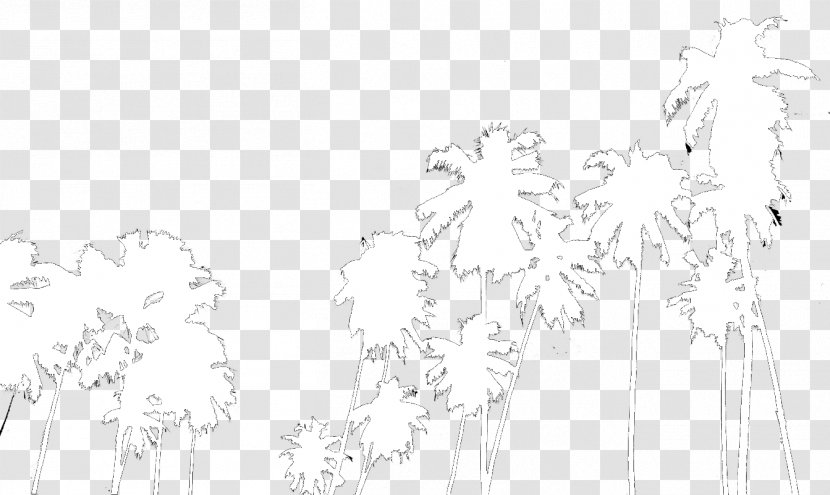 Line Art Branching Sketch - Joint - Roman Empire 100 Bc Transparent PNG