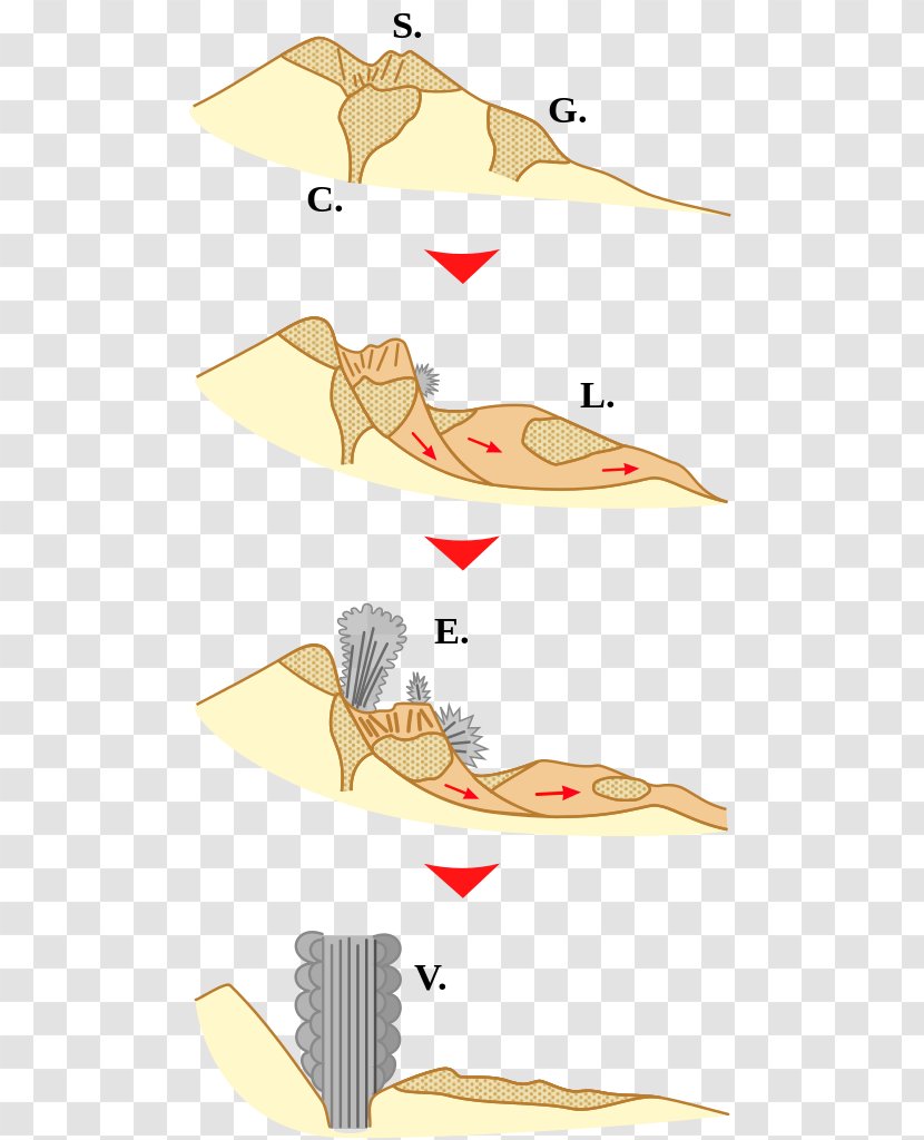 Line Wood Clip Art - Paper Transparent PNG