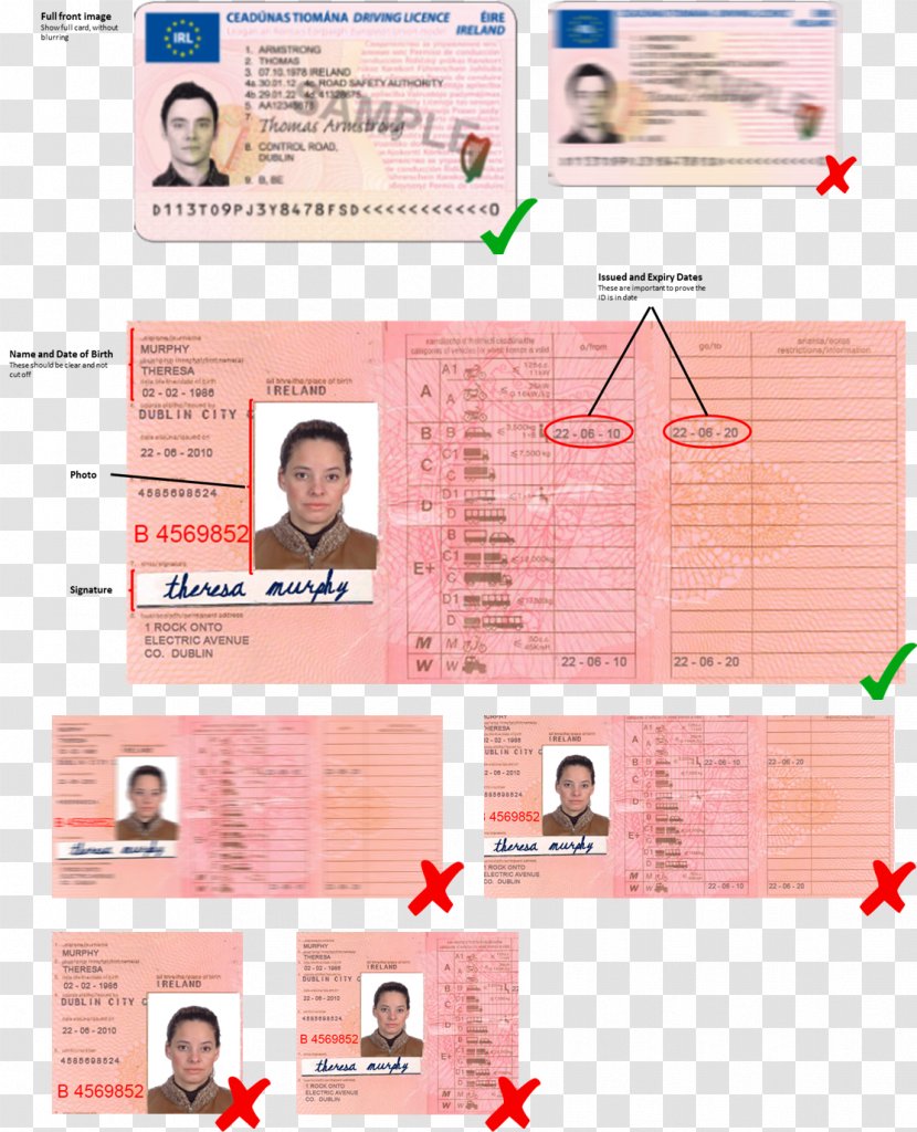 Northern Ireland Driver's License Driving Car - Driver And Vehicle Licensing Agency Transparent PNG