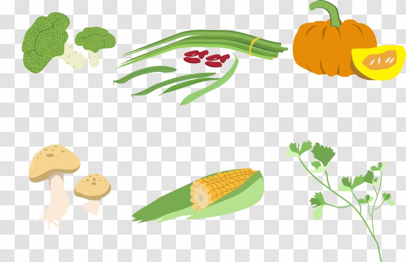 Vegetarian Cuisine Vegetable Illustration - Food - Vector Vegetables Transparent PNG