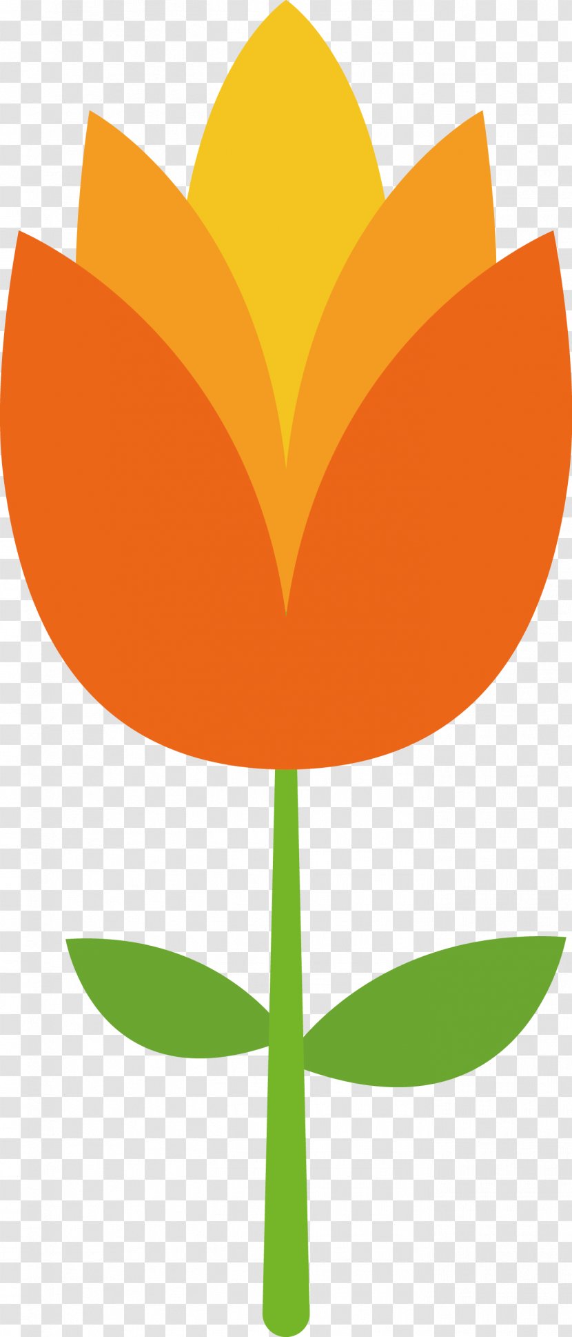 Flower Petal Tulip Clip Art - Orange - Material Transparent PNG