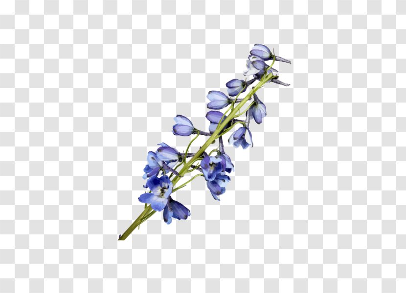Watercolor Painting Flower Blue - Tree - Flowers Transparent PNG