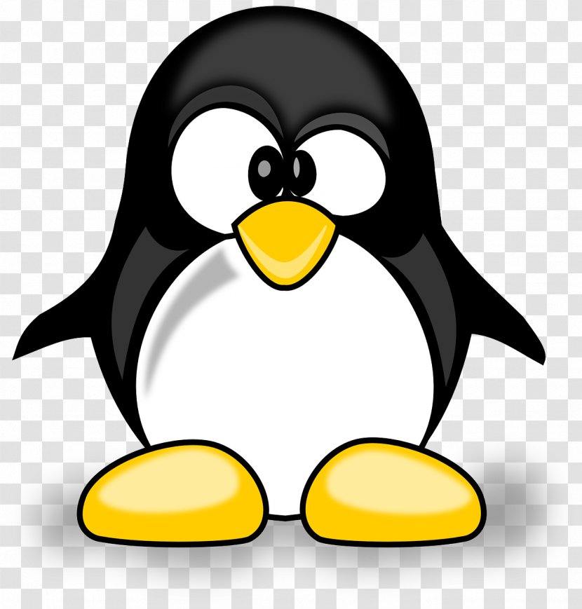 Google Penguin Search Engine Optimization Panda - Penguins Transparent PNG