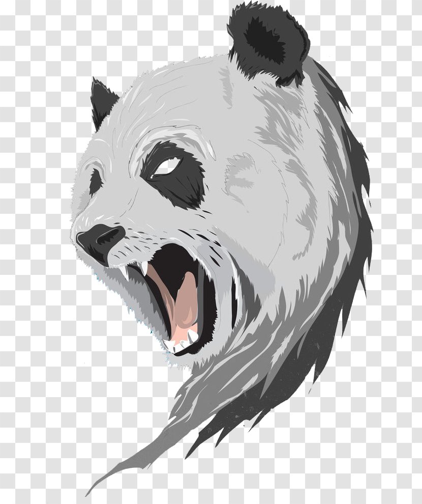 Giant Panda Illustration Drawing Red Anger - Roar - Bear Transparent PNG