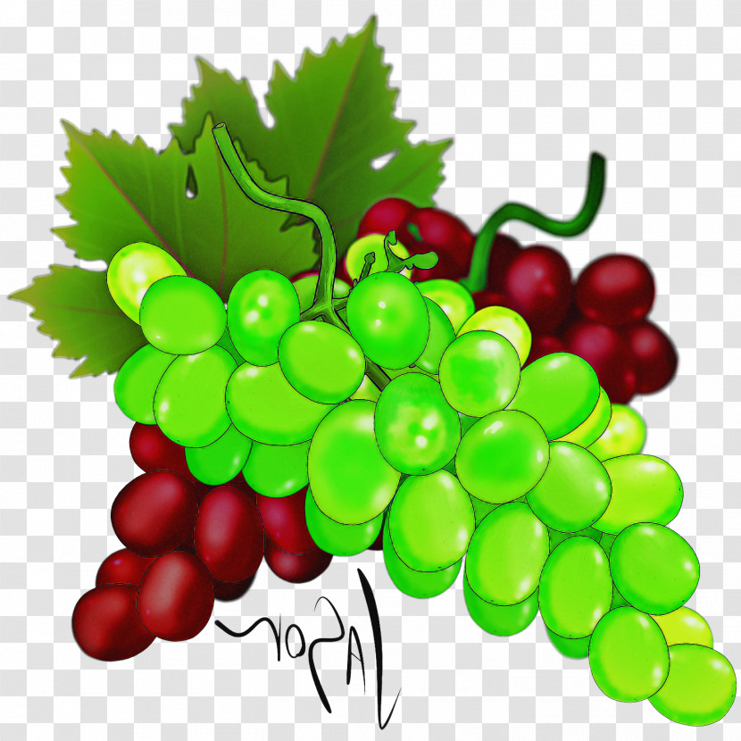 Grape Natural Foods Seedless Fruit Plant Grape Leaves Transparent PNG