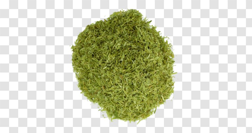 Sencha Matcha Green Tea Powder - Vegetarian Food Transparent PNG