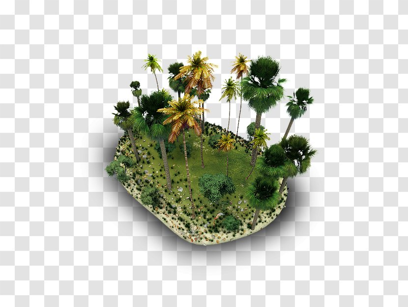 ICO Kamene Ikone Download Icon - Erosion - Tropical Forest Transparent PNG