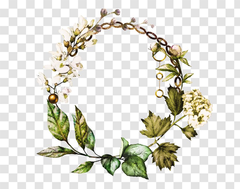 Ivy - Plant - Wreath Transparent PNG