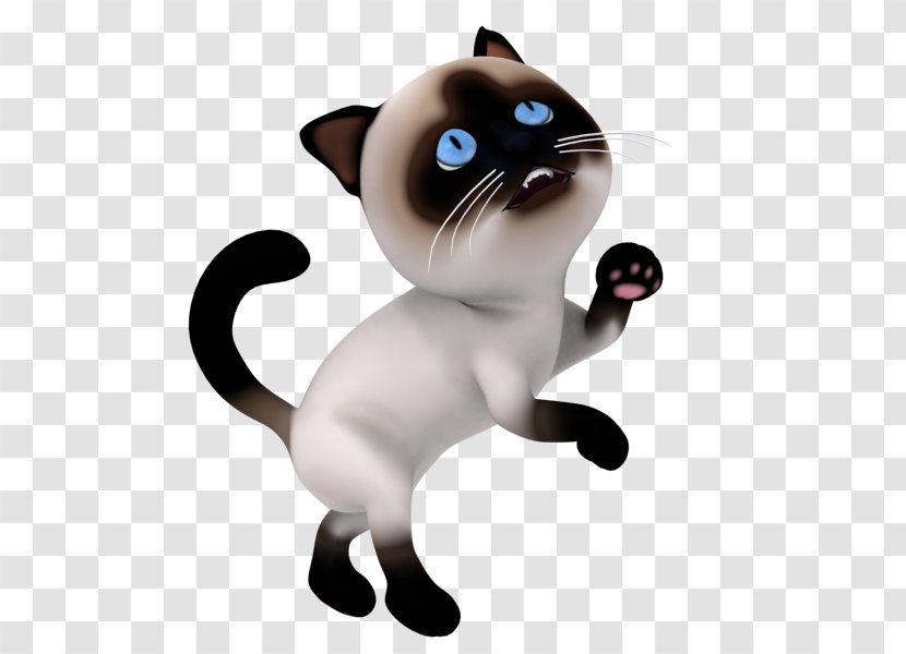 Whiskers Kitten Animation Cartoon Clip Art - Nose - Ravens 3d Animated Transparent PNG