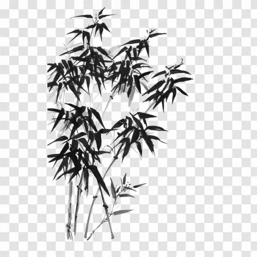 Bamboo Ink Wash Painting Drawing Illustration - Vector Transparent PNG