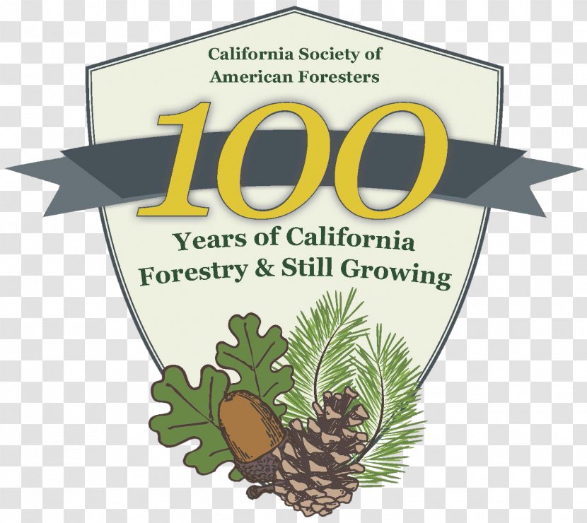 Northern California Southern Society Of American Foresters Forestry Arborist - Forest Transparent PNG
