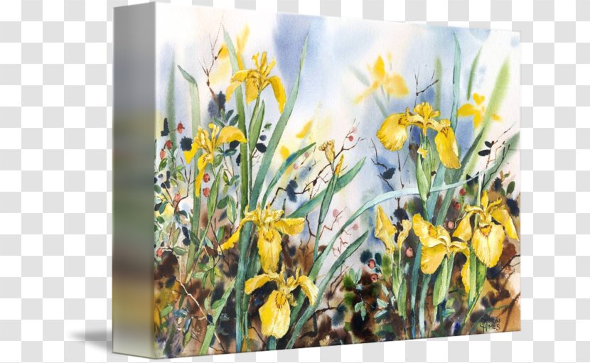 Floral Design Narcissus Wildflower - Flowering Plant Transparent PNG