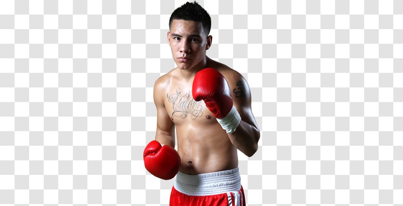Óscar Valdez Professional Boxing World Organization Glove - Watercolor Transparent PNG